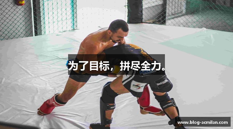 为了目标，拼尽全力。